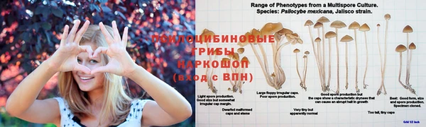 альфа пвп Абинск