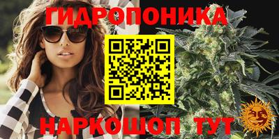 спиды Лесной