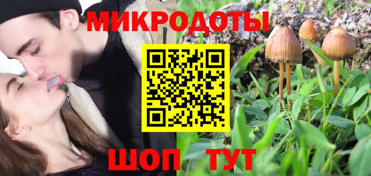 Иркутск  Псилоцибиновые грибы прущие грибы  Вход с VPN  Псилоцибиновые грибы Psilocybine cubensis 